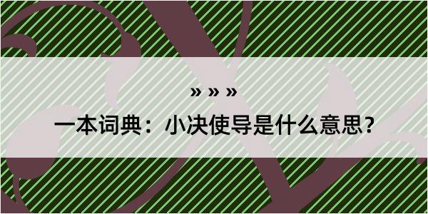 一本词典：小决使导是什么意思？