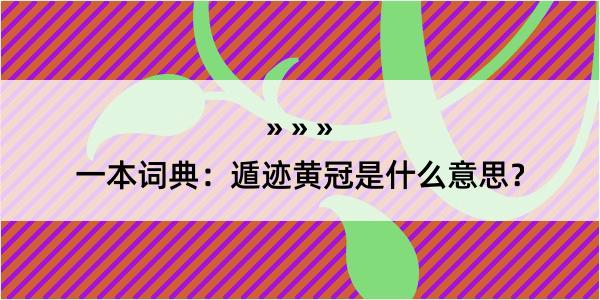 一本词典：遁迹黄冠是什么意思？