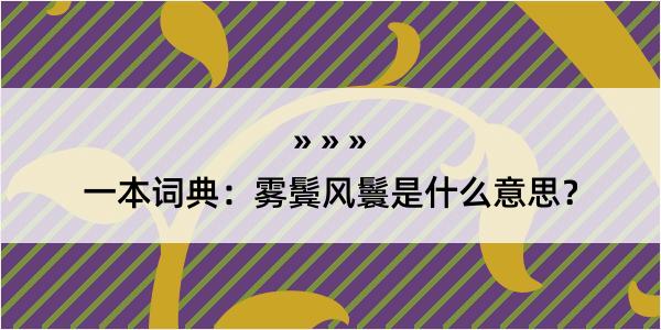 一本词典：雾鬓风鬟是什么意思？