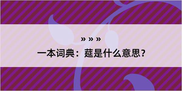 一本词典：莚是什么意思？