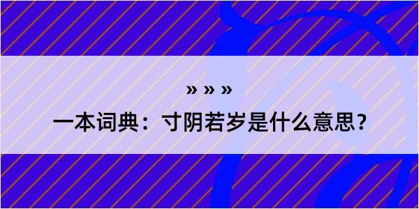 一本词典：寸阴若岁是什么意思？