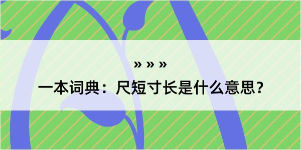 一本词典：尺短寸长是什么意思？