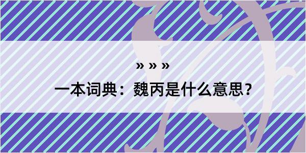 一本词典：魏丙是什么意思？