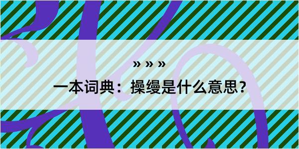 一本词典：操缦是什么意思？