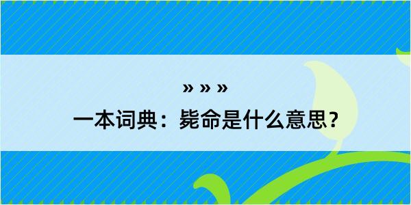 一本词典：毙命是什么意思？