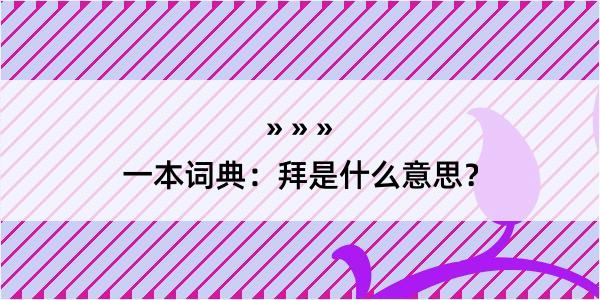 一本词典：拜是什么意思？