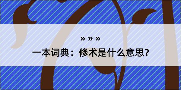 一本词典：修术是什么意思？