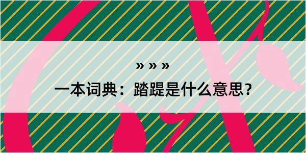 一本词典：踏踶是什么意思？