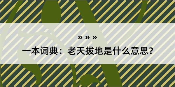 一本词典：老天拔地是什么意思？