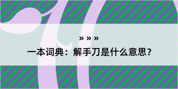 一本词典：解手刀是什么意思？