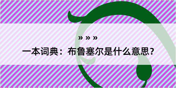 一本词典：布鲁塞尔是什么意思？