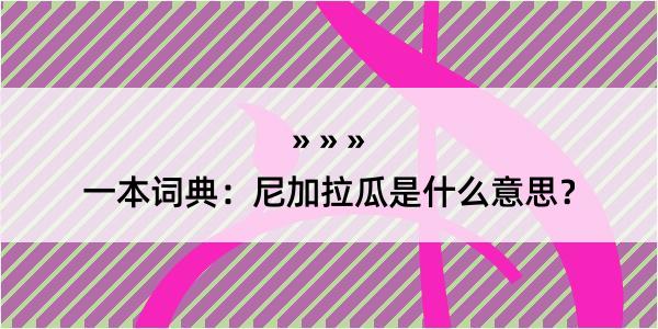 一本词典：尼加拉瓜是什么意思？