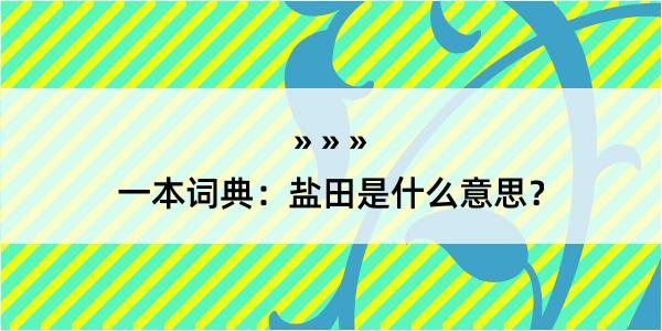 一本词典：盐田是什么意思？