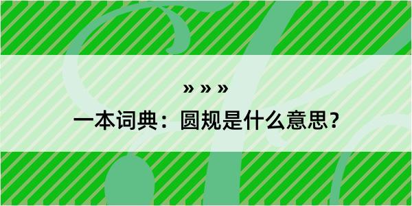 一本词典：圆规是什么意思？