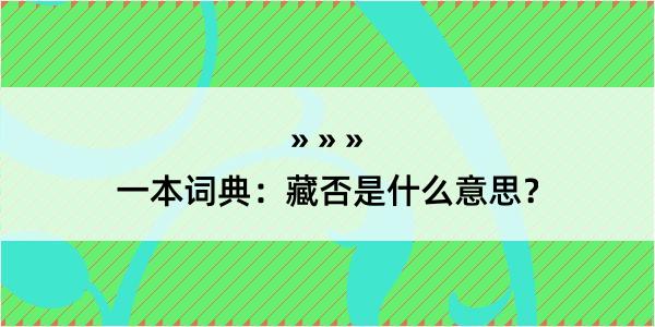 一本词典：藏否是什么意思？