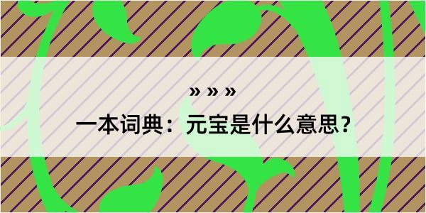 一本词典：元宝是什么意思？