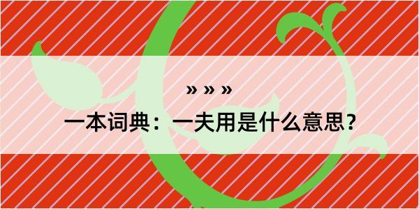 一本词典：一夫用是什么意思？