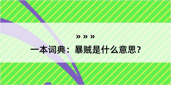 一本词典：暴贼是什么意思？