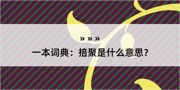 一本词典：掊聚是什么意思？