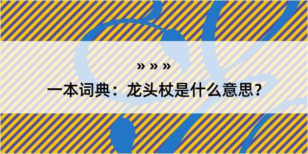 一本词典：龙头杖是什么意思？