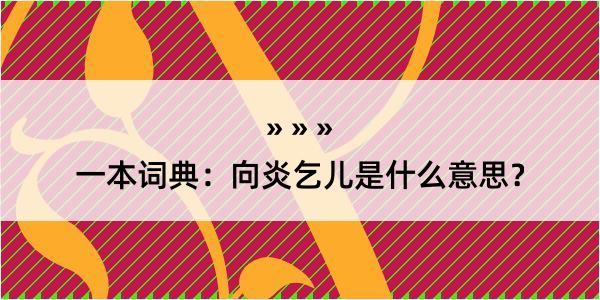 一本词典：向炎乞儿是什么意思？