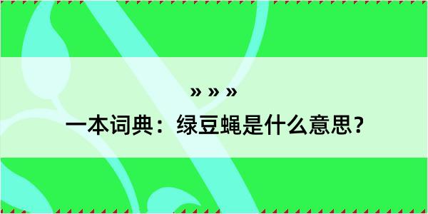 一本词典：绿豆蝇是什么意思？