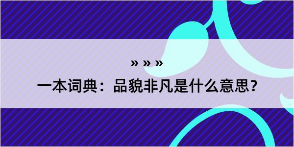 一本词典：品貌非凡是什么意思？