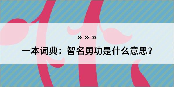 一本词典：智名勇功是什么意思？