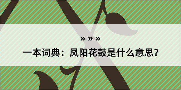 一本词典：凤阳花鼓是什么意思？