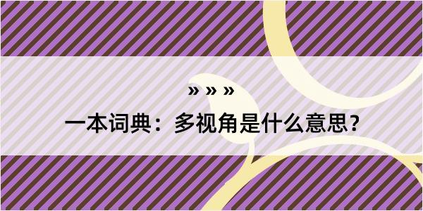 一本词典：多视角是什么意思？