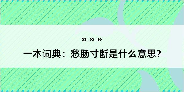 一本词典：愁肠寸断是什么意思？