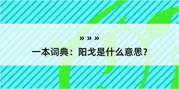 一本词典：阳戈是什么意思？