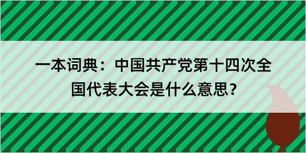 一本词典：中国共产党第十四次全国代表大会是什么意思？