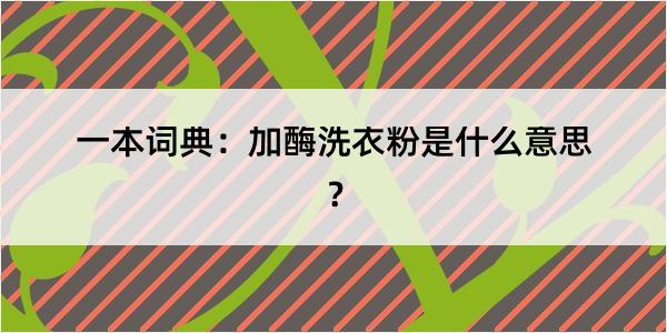 一本词典：加酶洗衣粉是什么意思？