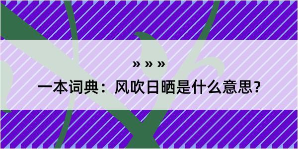 一本词典：风吹日晒是什么意思？