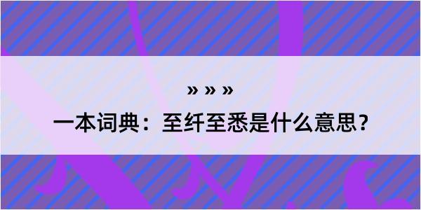 一本词典：至纤至悉是什么意思？