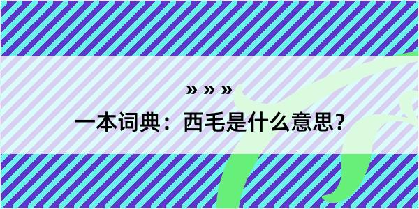 一本词典：西毛是什么意思？