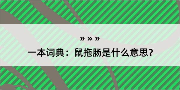 一本词典：鼠拖肠是什么意思？