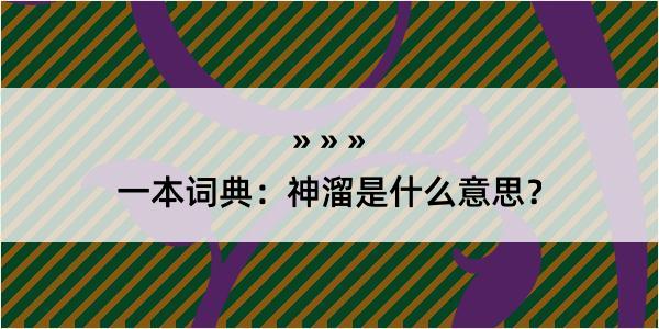 一本词典：神溜是什么意思？