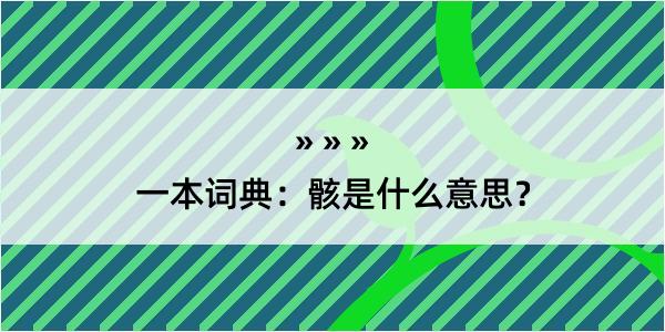 一本词典：骸是什么意思？