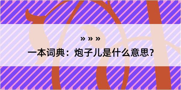 一本词典：炮子儿是什么意思？