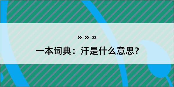 一本词典：汗是什么意思？