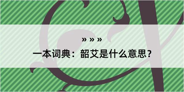 一本词典：韶艾是什么意思？