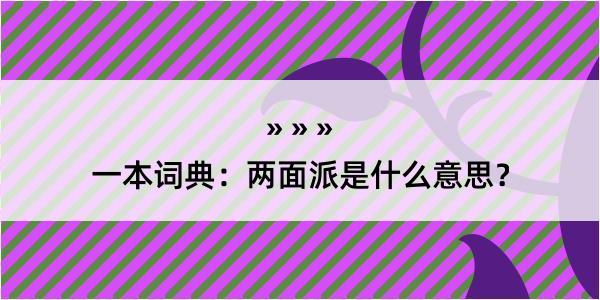 一本词典：两面派是什么意思？