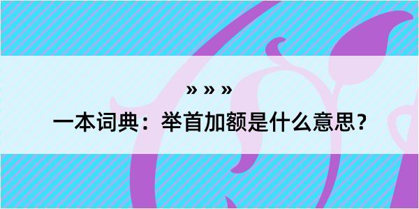 一本词典：举首加额是什么意思？