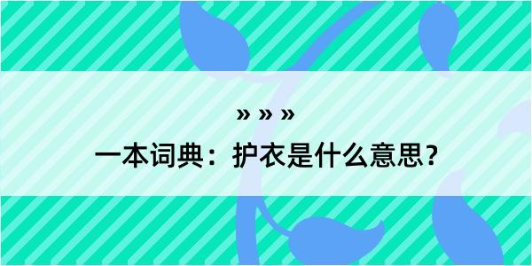 一本词典：护衣是什么意思？