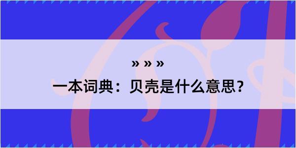 一本词典：贝壳是什么意思？