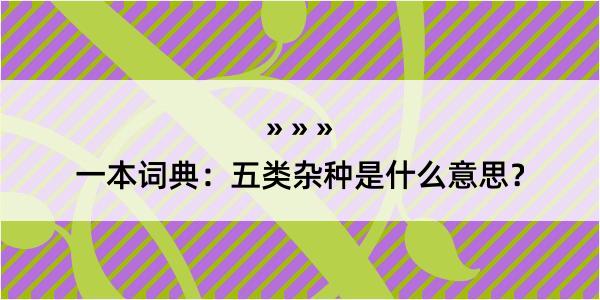 一本词典：五类杂种是什么意思？