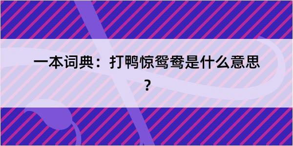 一本词典：打鸭惊鸳鸯是什么意思？