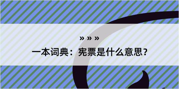 一本词典：宪票是什么意思？